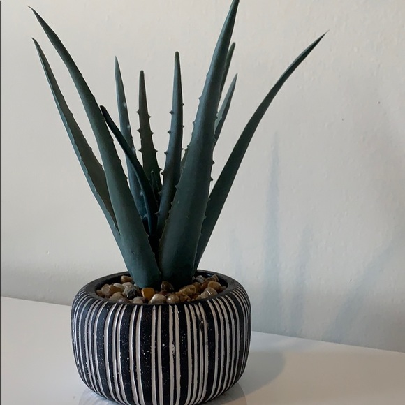 Faux succulant home decor - Picture 3 of 3